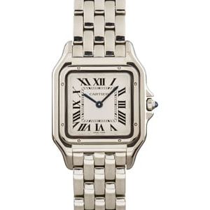 Panthere de Cartier Stainless Steel