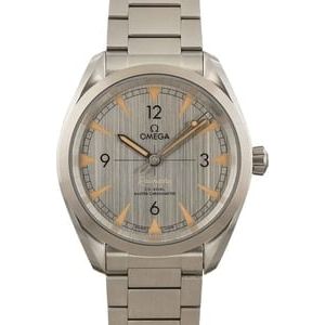 Omega Seamaster Railmaster Grey Dial