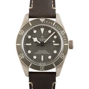 Tudor Black Bay 58 925 Ref 79010 Taupe Dial & Bezel