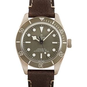 Tudor Black Bay 58 925 Ref 79010 Taupe Dial & Bezel