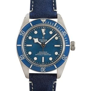 Tudor Heritage Black Bay 79030