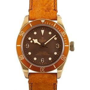 Tudor Heritage Black Bay 79250BM Brown Dial