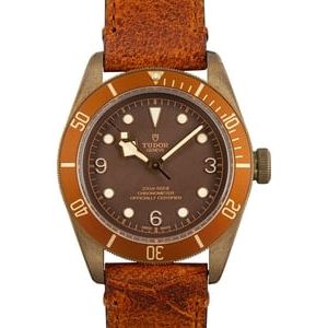 Tudor Heritage Black Bay Bronze 79250BM